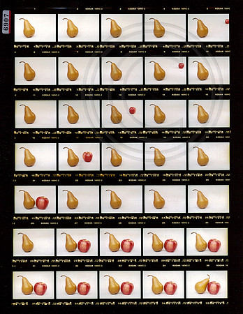 The Apple & The Pear #2