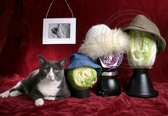 Cabbage Family Portrait (w/ Nora)