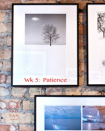 Wk 5: Patience