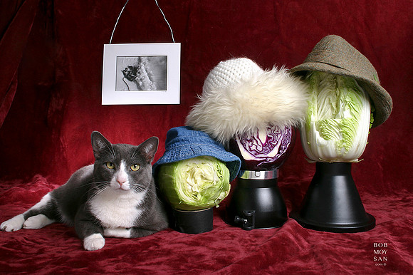 Wk 8b:  The Cabbage Family Portrait (w/ Nora)