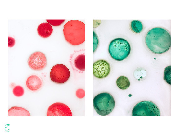 Wk 15: Illuminated Wax ..... Series II; no. 4 & no. 6