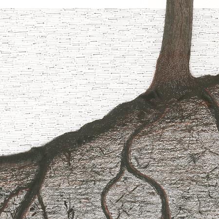 Wk 22: Union (pencil/charcoal detail)