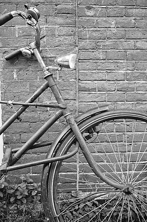 Wk 34: Amsterdam Bicycle